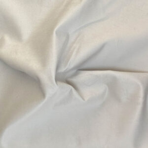 Franklin- Oyster (P)